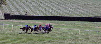 欧宝体育直播 -阿扎伦卡连续十二场比赛得分超过大胜，巴塞罗那挑战极限！